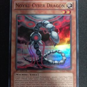 Noyau Cyber Dragon sdcr-fr001