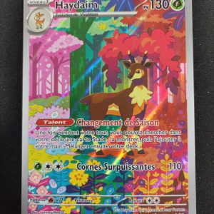 Haydaim 166/162 Force Temporelle