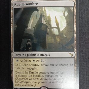 Ruelle Sombre Meurtres Au Manoir De Karlov