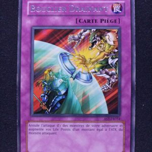 Bouclier Drainant ast-fr054