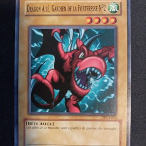 Dragon Ailé Gardien De La Forteresse N°2 tp1-f022