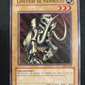 Cimetière De Mammouth ldd-c009