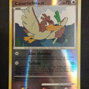 Canarticho 38/100 Reverse Tempête