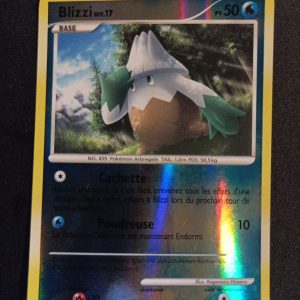 Blizzi 74/100 Reverse Tempête