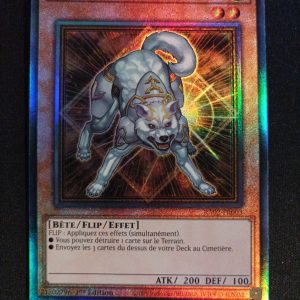 Ryko Le Chasseur Seigneur Lumière ra02-fr003 25Th