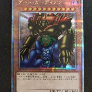 Gardien De La Porte tdpp-jp012 25Th