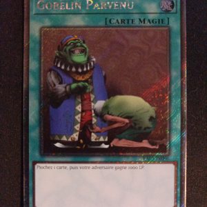Gobelin Parvenu ra03-fr096