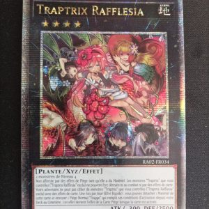 Traptrix Rafflesia ra02-fr034
