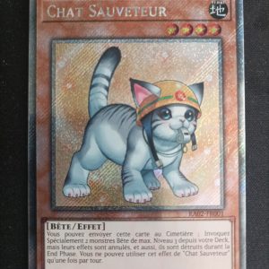 Chat sauveteur ra02-fr001
