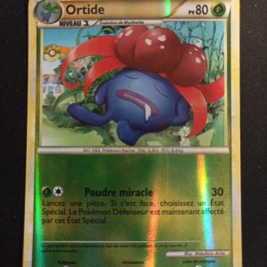 Ortide 27/90 Reverse Indomptable