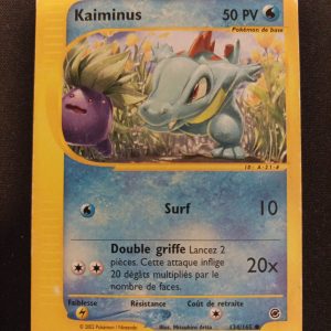 Kaiminus 134/165 Expédition