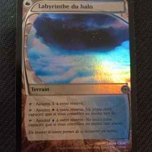 Labyrinthe du halo Vision de l'Aveni