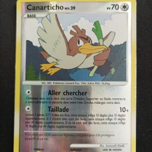 Canarticho 38/100 Reverse Tempête