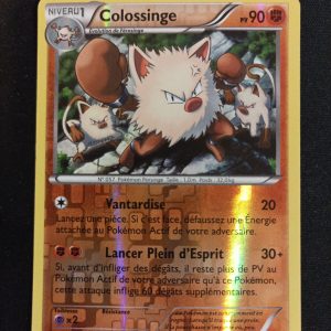 Colossinge 53/114 Reverse Offensive Vapeur