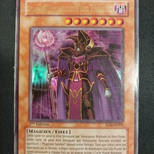 Sorcier Eradicateur Des Ténèbres sd6-fr001