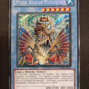 Mind Augus Evigishki Ha05-fr051