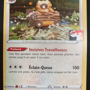 Castorno 121/172 Holo Stars Étincelantes Ligue