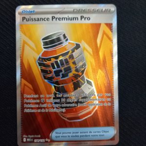 Puissance Prenium Pro 174/132 Méga Évolution