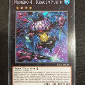 Numéro 4 Kragen Furtif brol-fr030