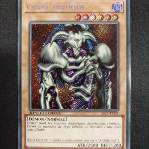 Crâne Invoqué sbc1-fr101