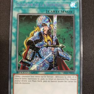 Seigneur De La Suppression sbcb-fr138