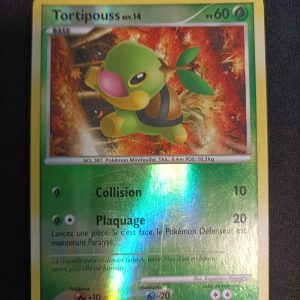 Tortipouss 101/127 Reverse Platine
