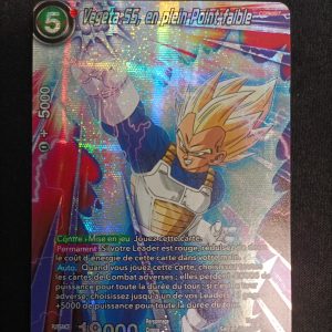 Végéta SS En Plein Point Faible db1-002 TS02