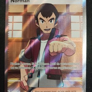 Norman 237/182 Faille Paradoxe