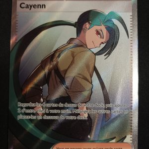 Cayenn 241/182 Faille Paradoxe