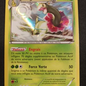 Meganium 3/122 Holo Rupture Turbo