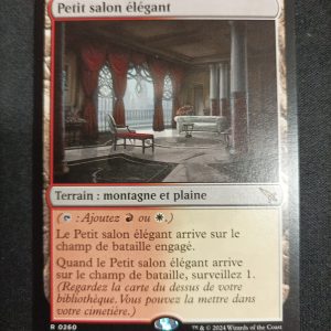 Petit Salon Élégant Meutres Au Manoir Karlov