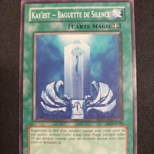 Kay'est Baguette De Silence dr1-fr198