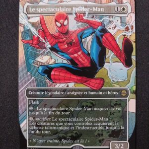 Le Spectaculaire Spider-Man Spiderman