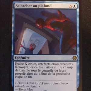 Se Cacher Au Plafond Spiderman