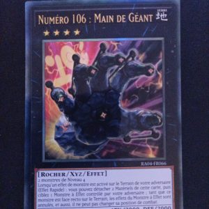 Numéro 106 Main De Géant ra04-fr066