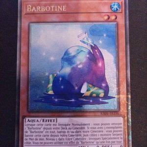 Barbotine ra04-fr081