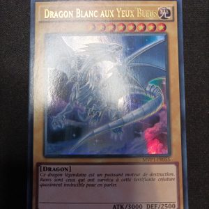 Dragon Blanc Aux Yeux Bleus mvp1-fr055