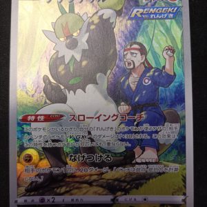 Passimian 203/184 Vmax Climax