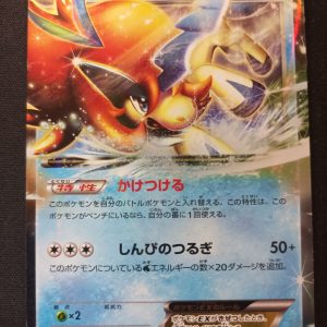 Keldeo Ex 019/059 1st Cold Flare