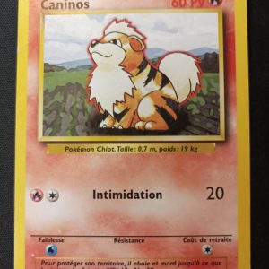 Caninos 28/102 Set De Base