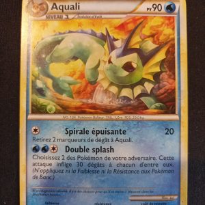 Aquali 41/90 Indomptable