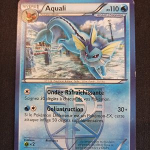 Aquali 20/116 Glaciation Plasma