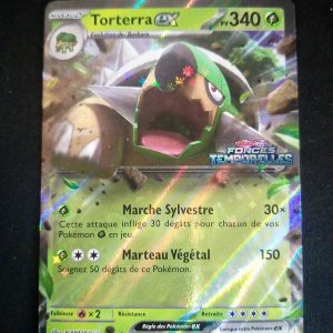 Torterra Ex 012/162 Forces Temporelles