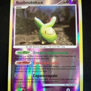 Rozbouton 33/100 Reverse Tempête