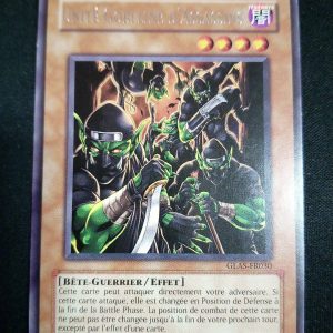 Unité Gobeline D'assassins Glas-fr030