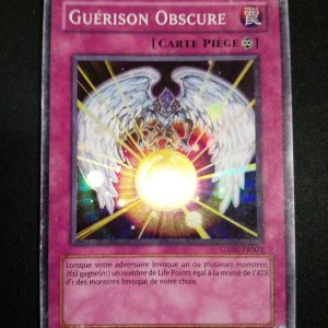 Guérison Obscure gx05-fr002