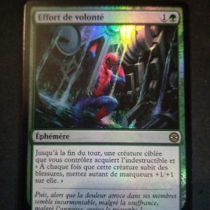 Effort De Volonté Foil Spiderman