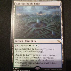 Labyrinthe De Haies Meurtres Au Manoir Karlov