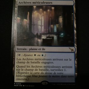 Archives Méticuleuses Meurtres Au Manoir Karlov