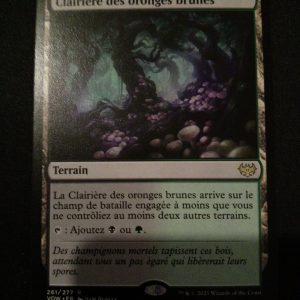 Clairière Des Oronges Brunes Noce Écarlate